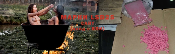 прущие грибы Алзамай