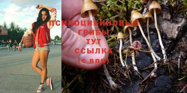 сатива Алексеевка