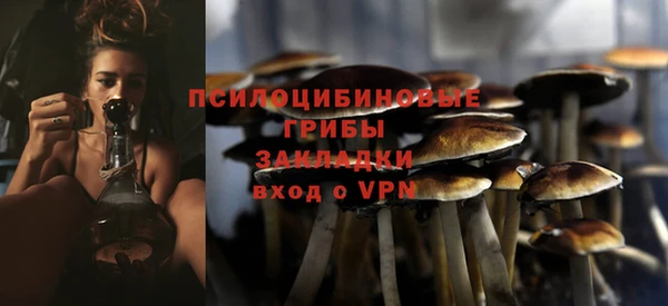 прущие грибы Алзамай