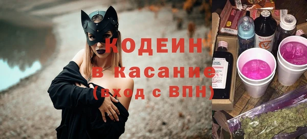 прущие грибы Алзамай