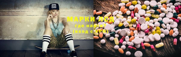 прущие грибы Алзамай