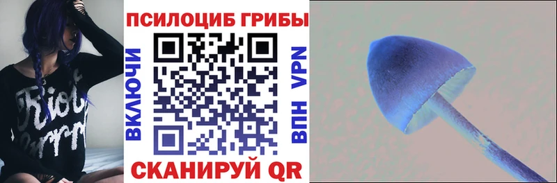 гидра как зайти  где купить наркоту  Чадан  Псилоцибиновые грибы ЛСД 